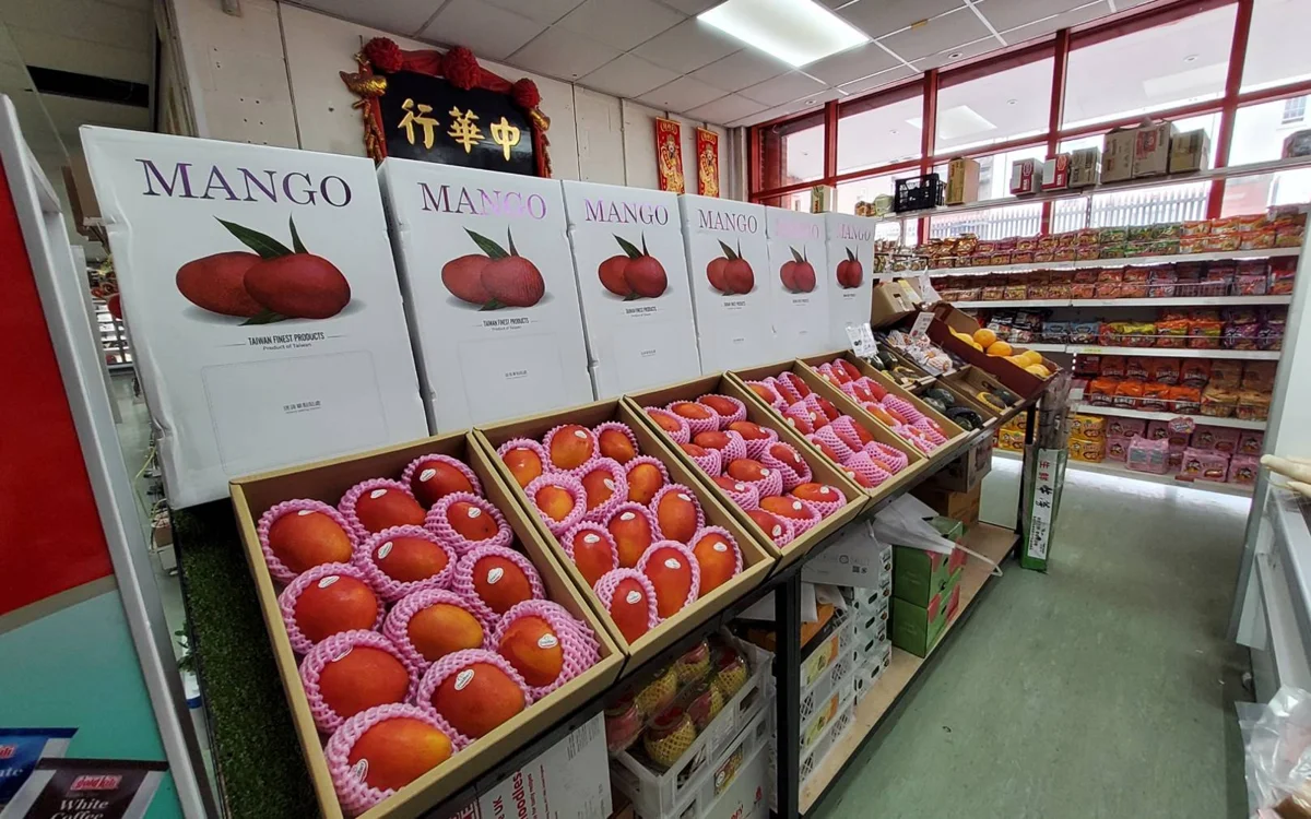 圖片來源:臺南市政府
