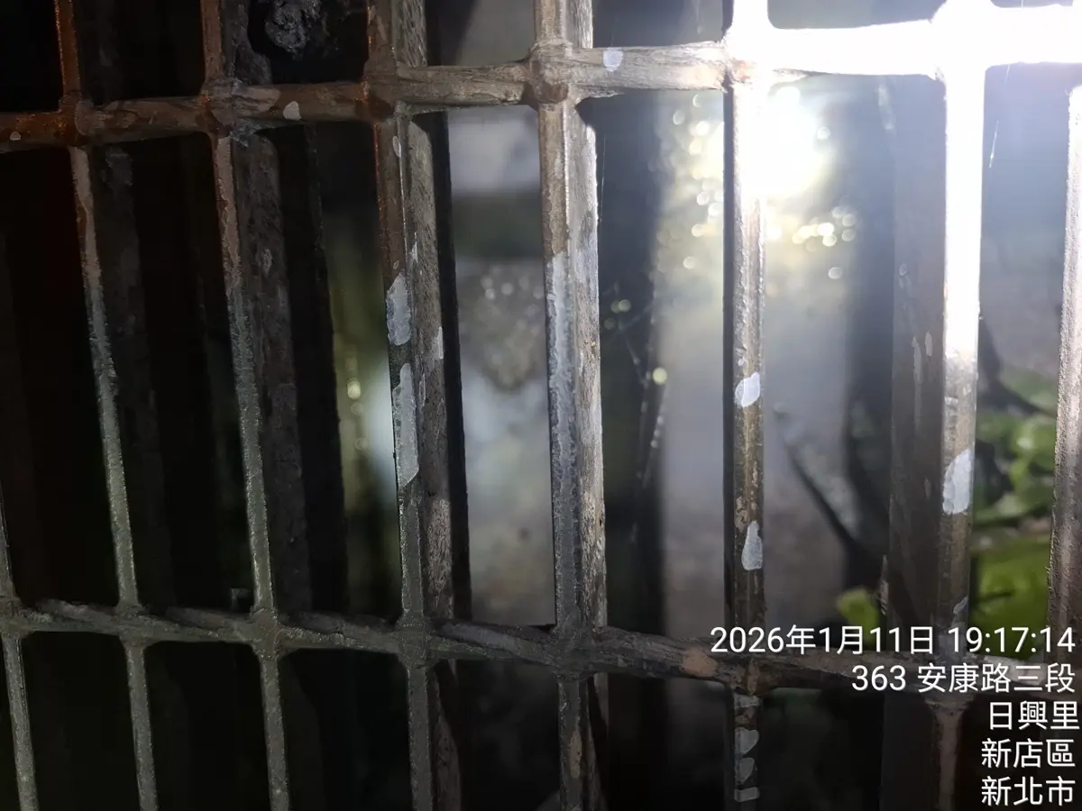 圖片來源:新北市政府