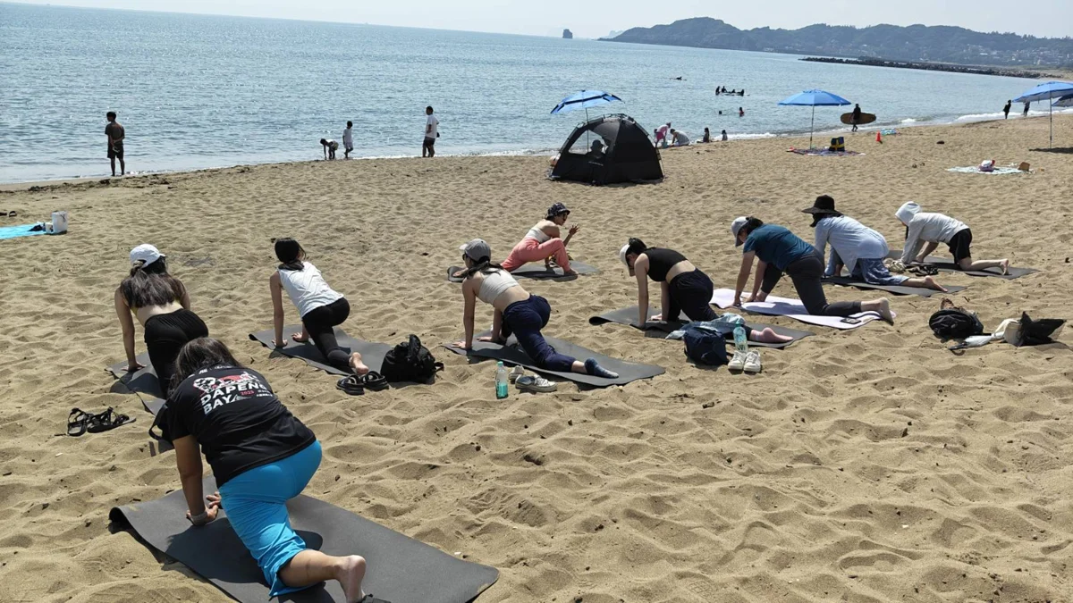 金山中角灣夏日活動登場!火舞大秀與光影藝術點亮北海岸