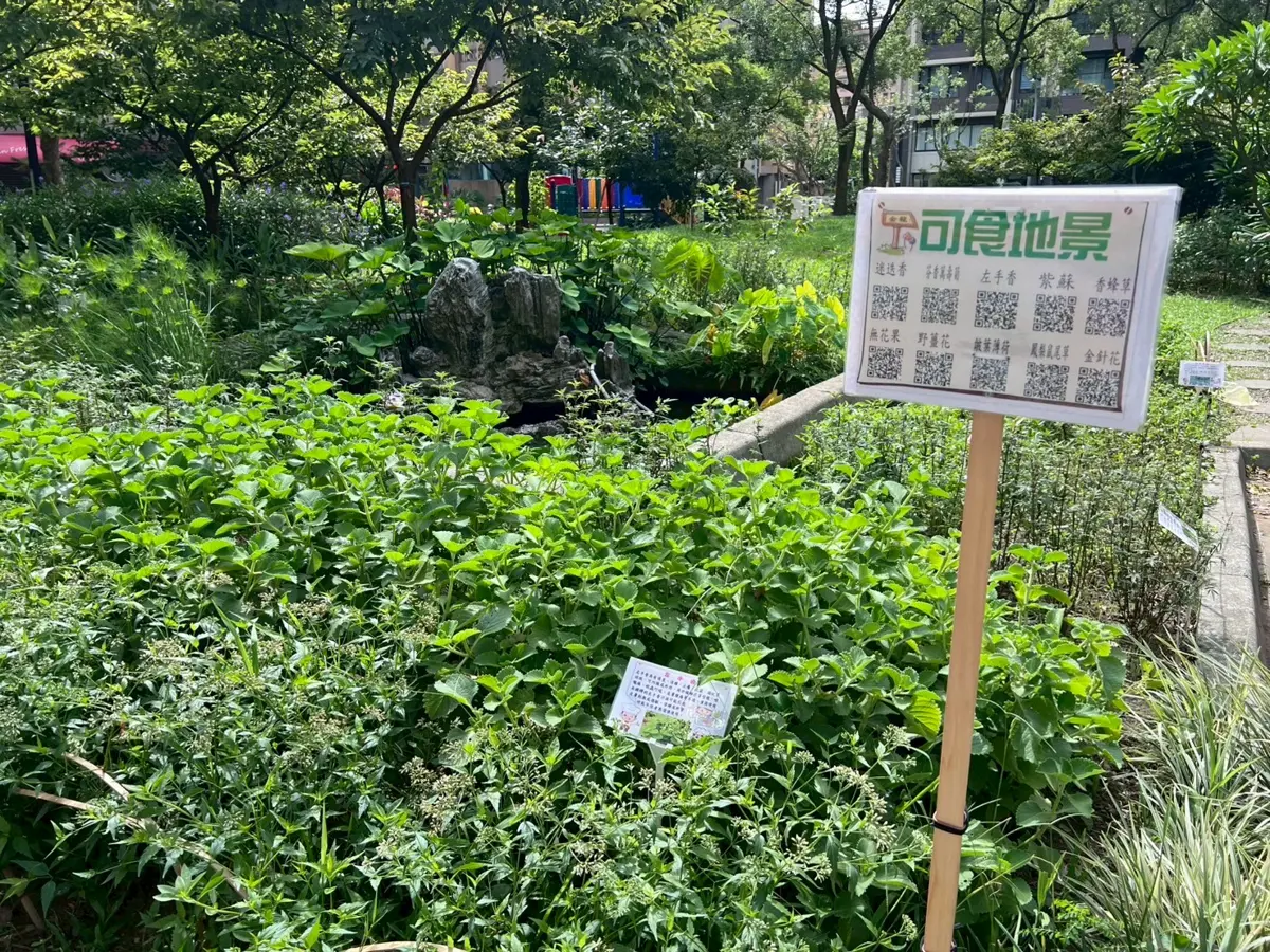 圖片來源:新北市政府