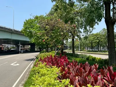 台中市府公私協力省下近7千萬!台74線變身綠色廊道,企業響應ESG成果曝光
