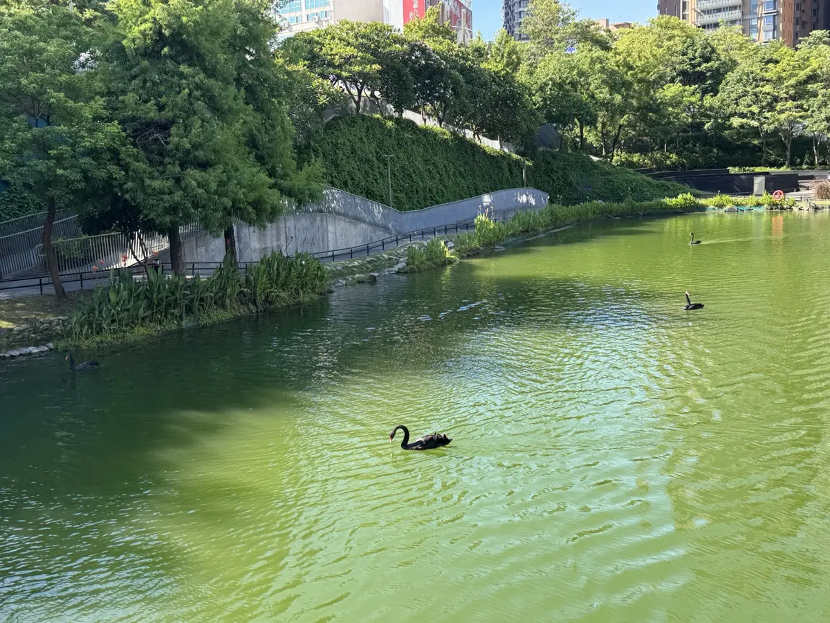 圖片來源:臺中市政府