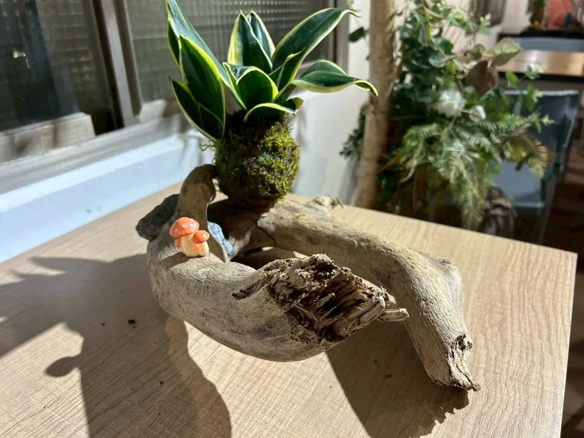 圖片來源:花蓮縣政府
