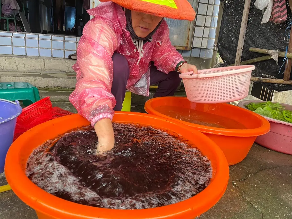 圖片來源:新北市政府