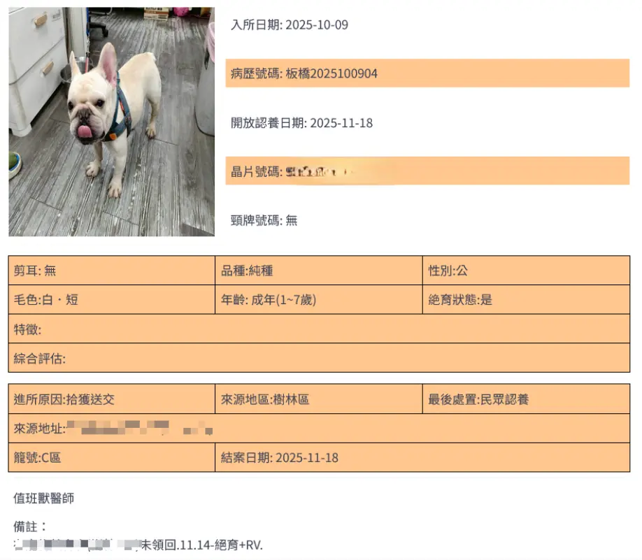 圖片來源:新北市政府