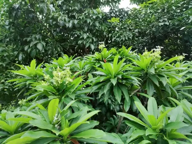 圖片來源:臺北市政府