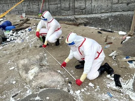 圖片來源:連江縣警察局-最新消息