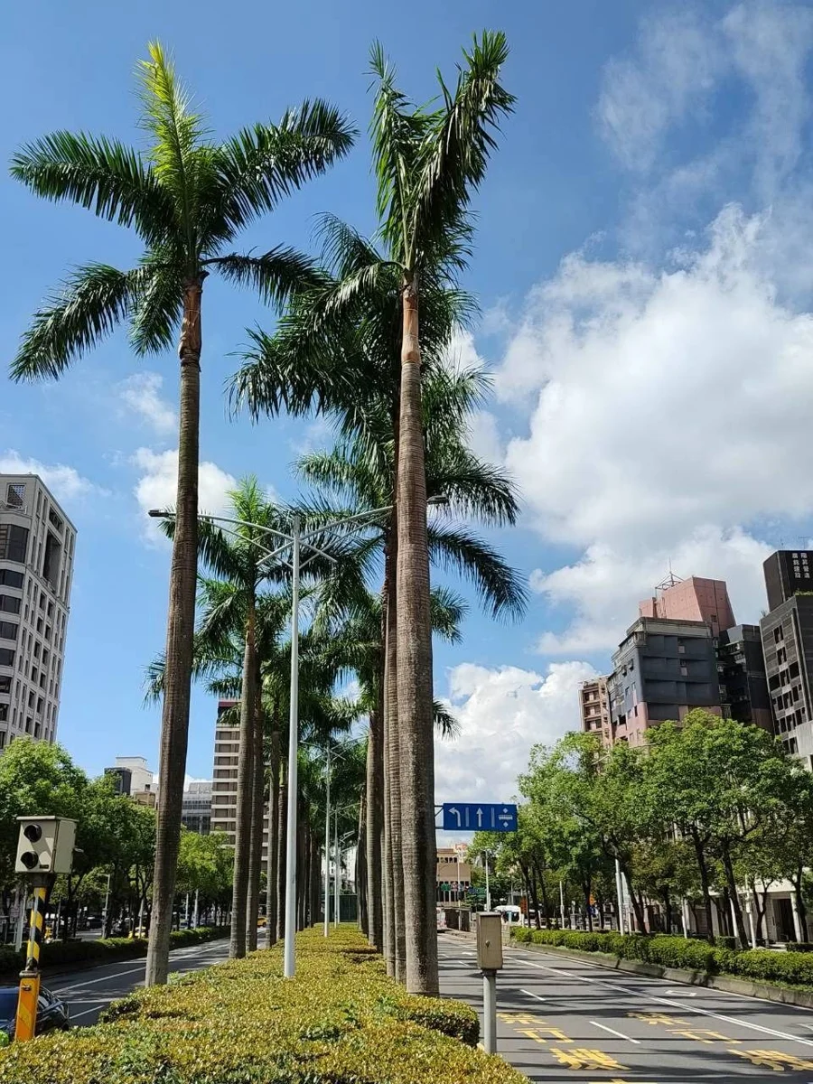 圖片來源:臺北市政府