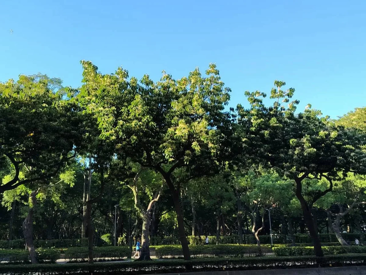 圖片來源:臺北市政府