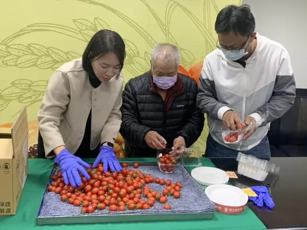 鹽水番茄產季到！老饕必搶「鹽地一番茄」限量開賣，酸甜滋味錯過等明年