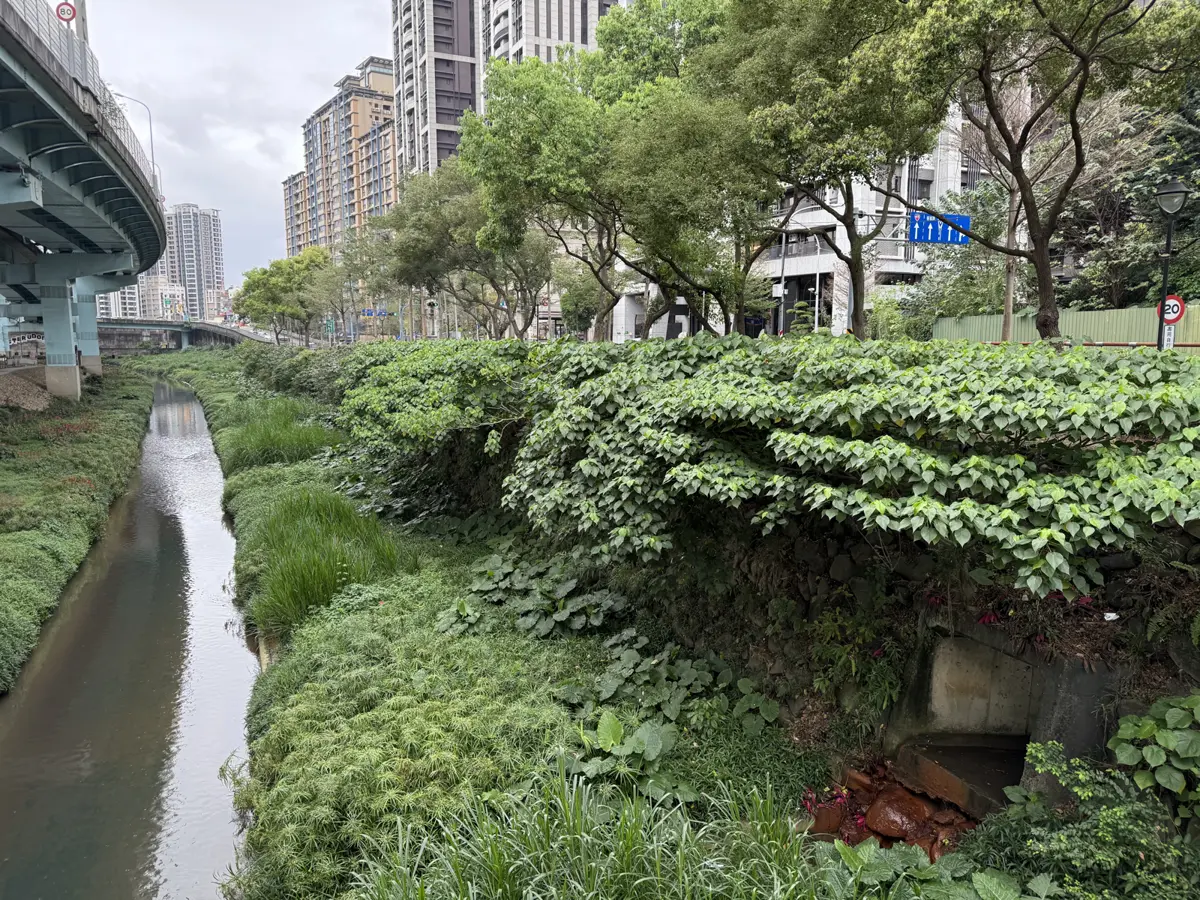 圖片來源:新北市政府