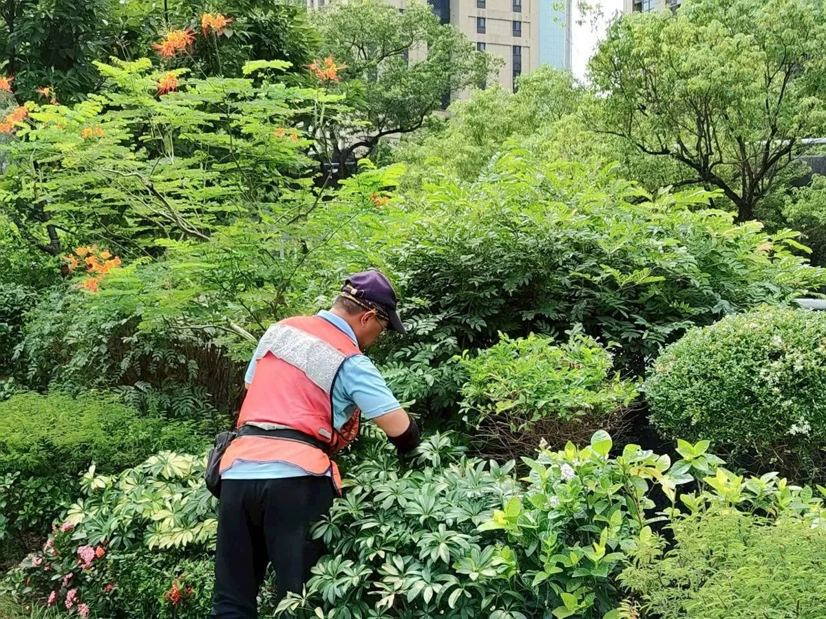 圖片來源：臺北市政府