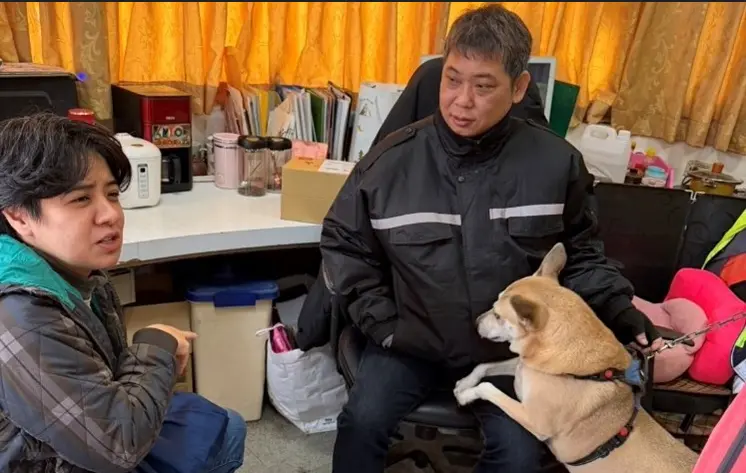 圖片來源:新北市政府