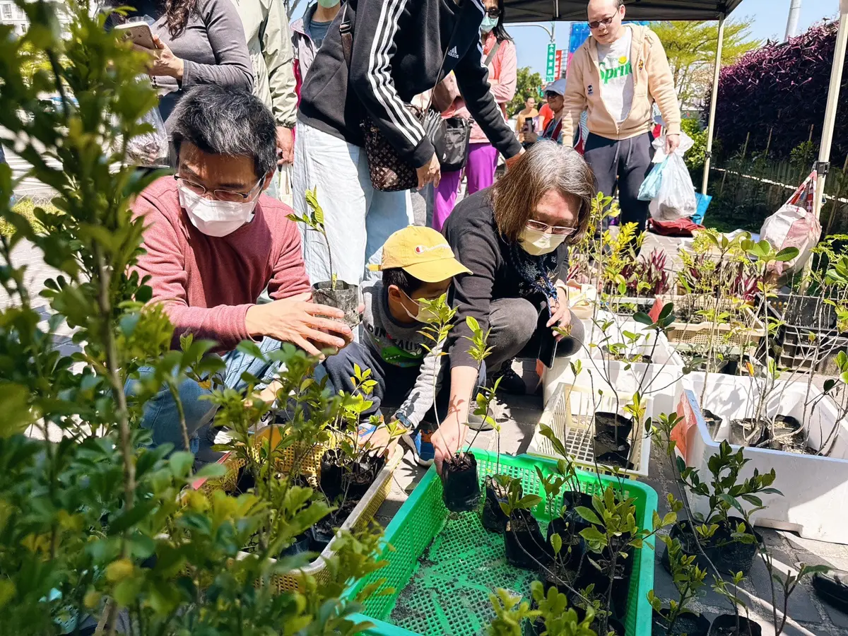 南屯週末限定!20顆廢電池免費換桂花樹苗,環保局加碼送好禮