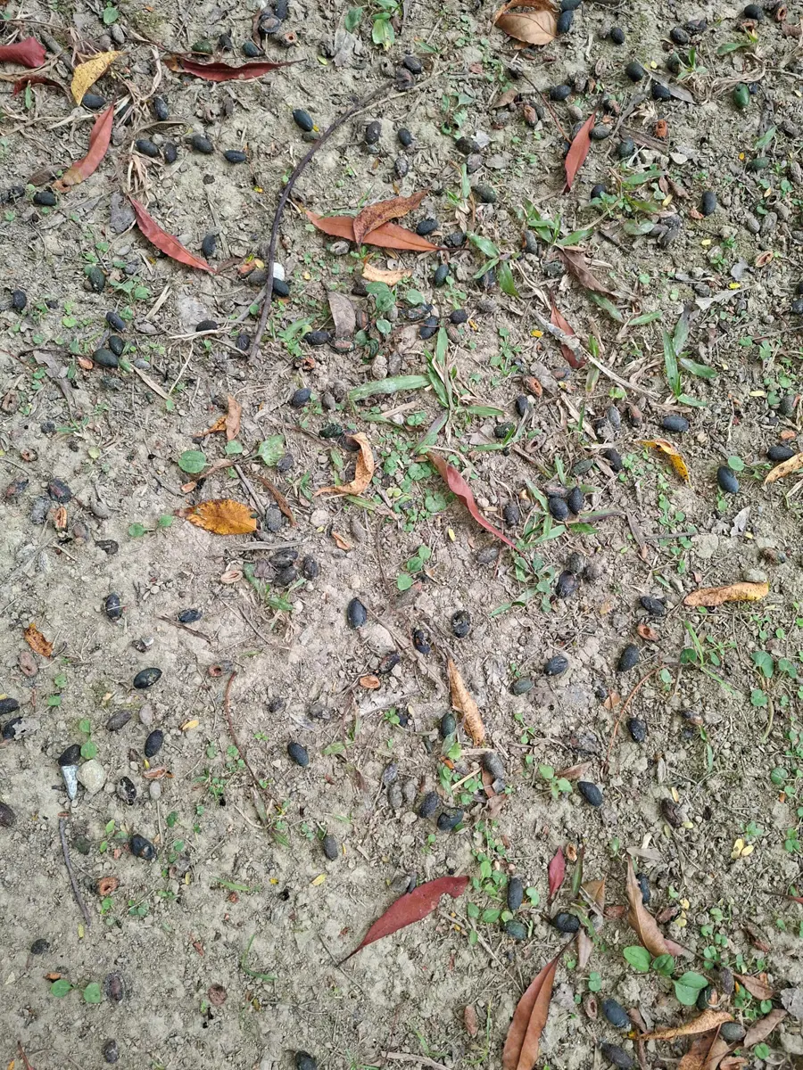 圖片來源:臺北市政府