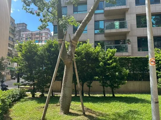 圖片來源:臺北市政府