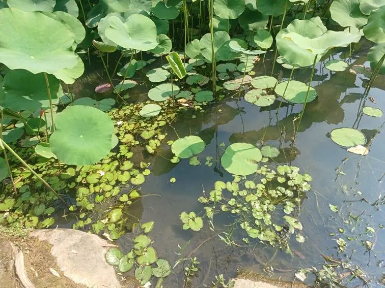 圖片來源:臺北市政府