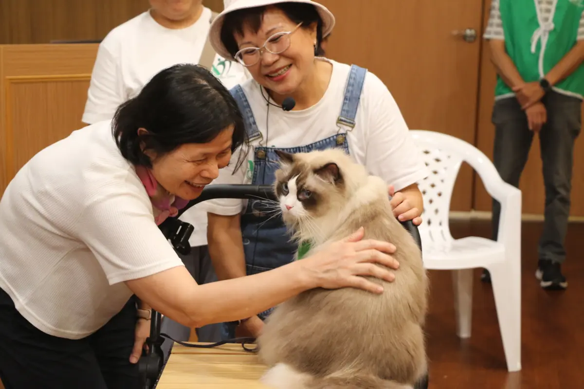 圖片來源:新北市政府