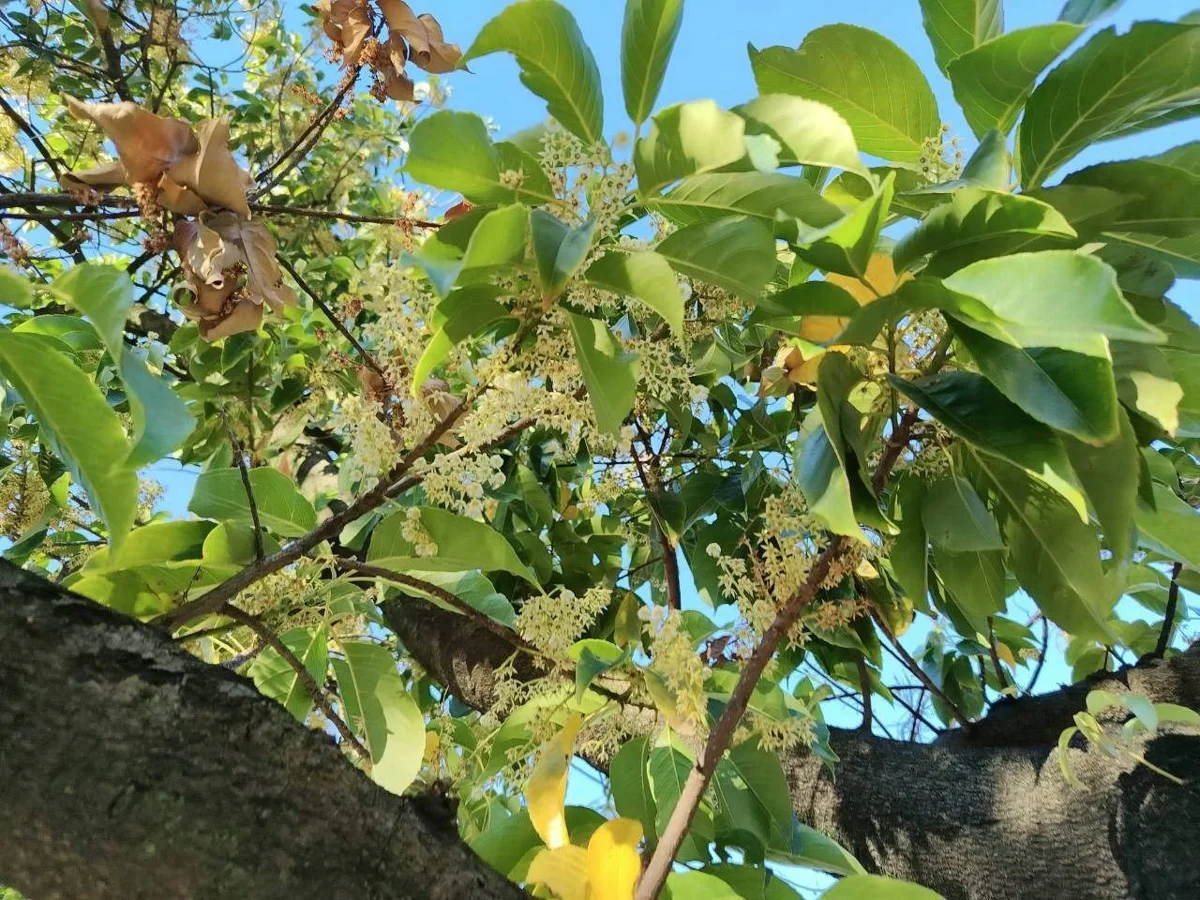 圖片來源:臺北市政府