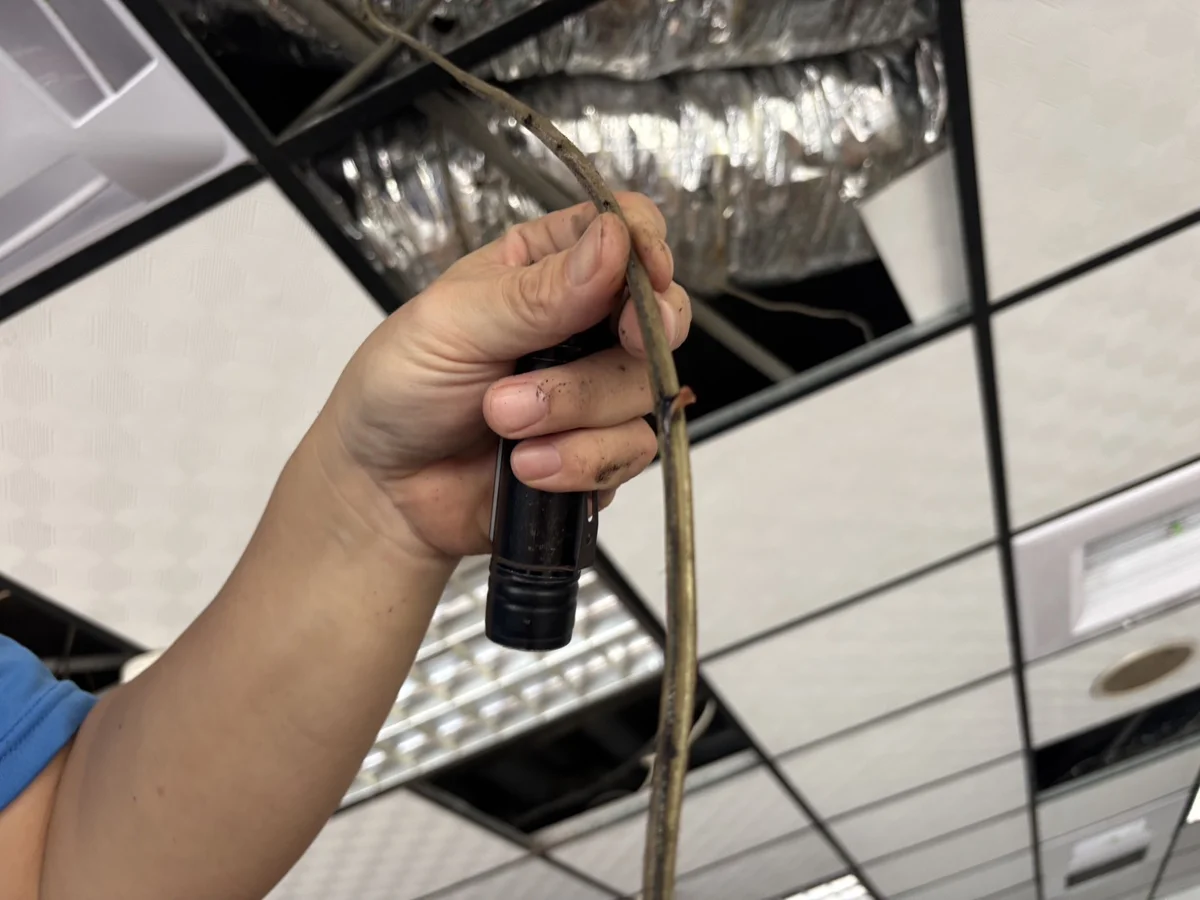 圖片來源:高雄市政府消防局-新聞稿