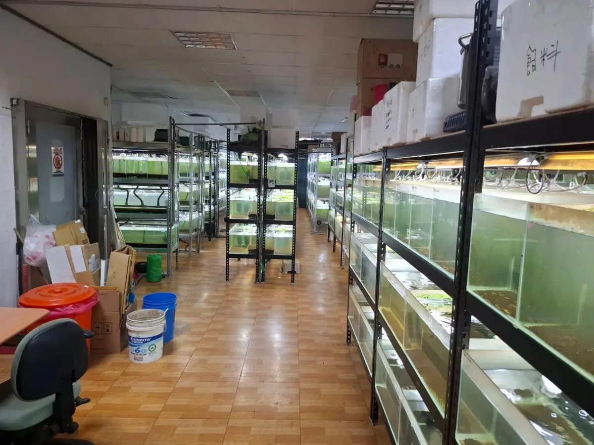 圖片來源:新北市政府