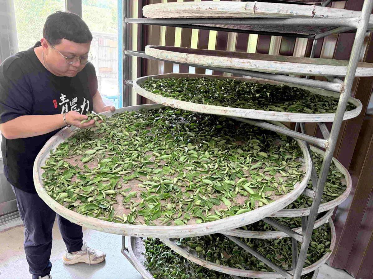 圖片來源:新北市政府