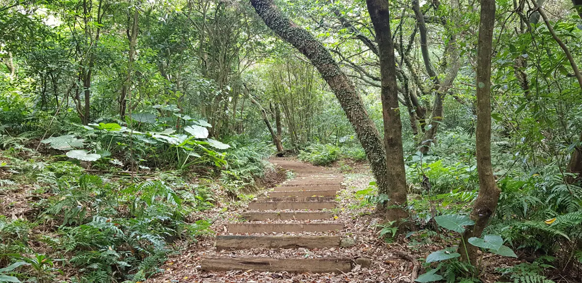 圖片來源:新北市政府