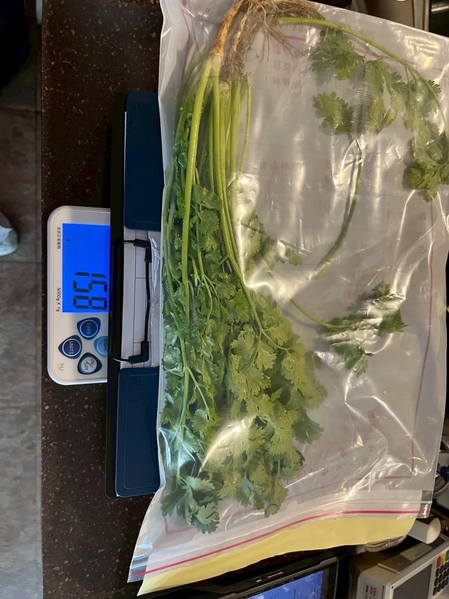 圖片來源:臺北市政府