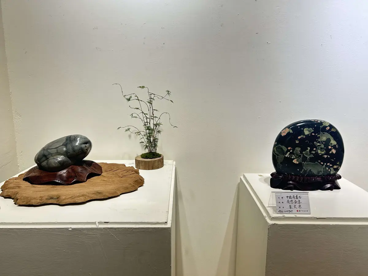 雲林奇石展「石全石美」登場!70件瑰寶限時展出,一窺台灣地質之美