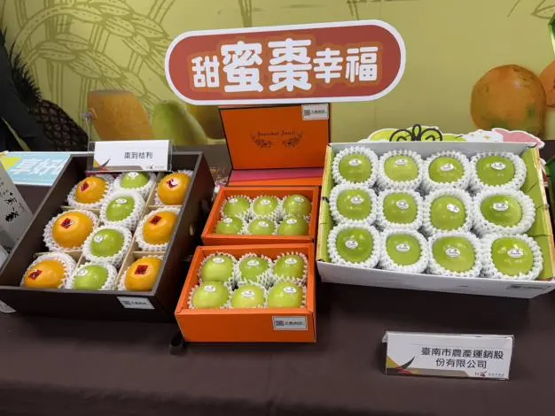 圖片來源:臺南市政府