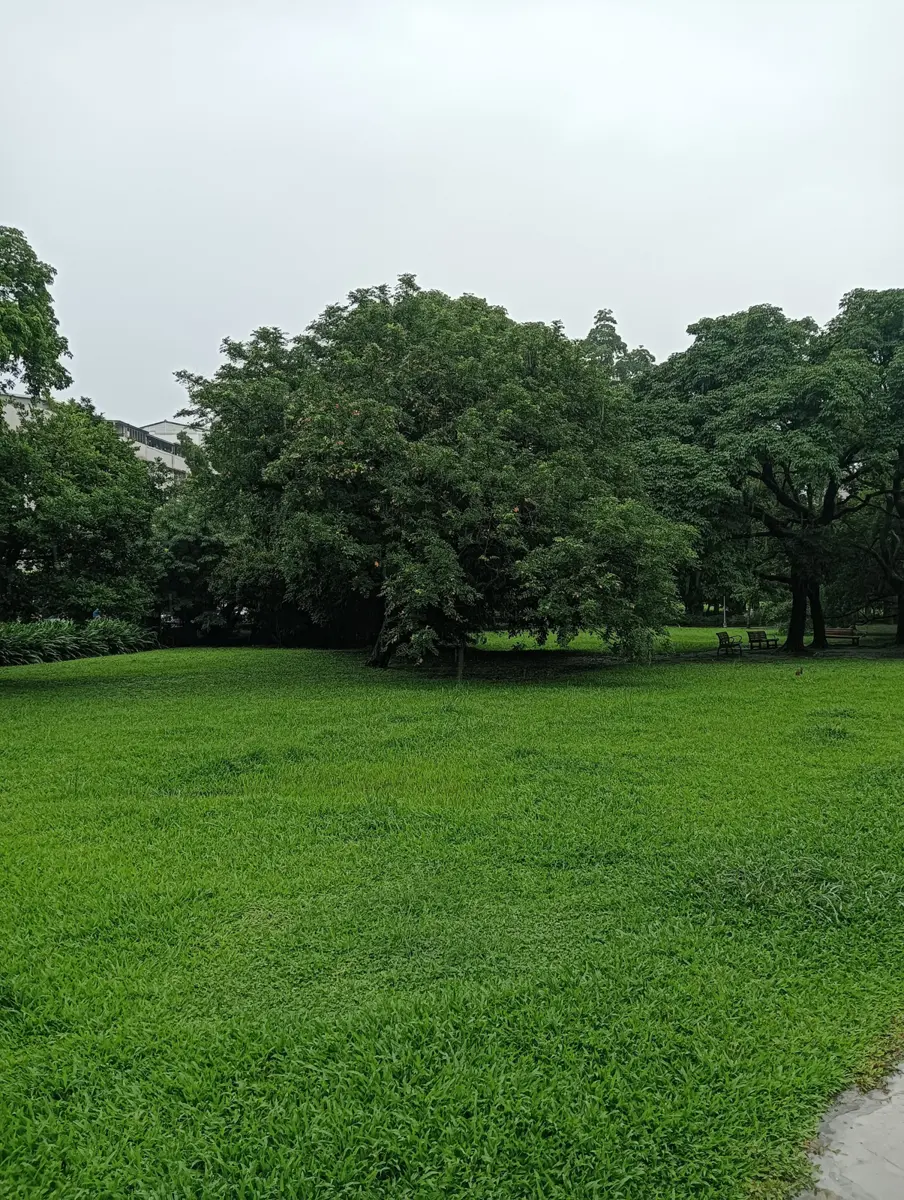 圖片來源：臺北市政府