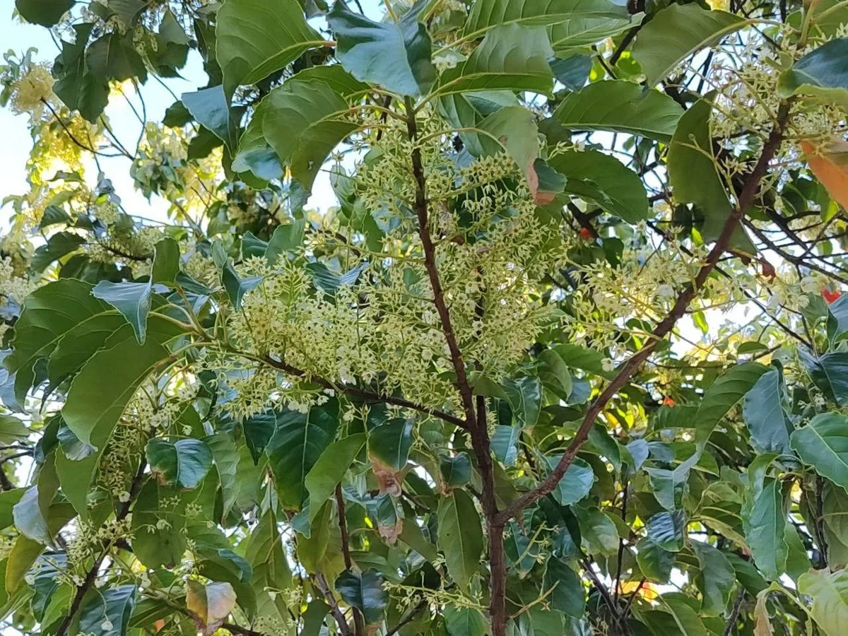 圖片來源:臺北市政府
