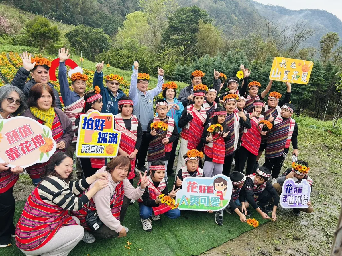 尖石金盞花季開跑！黃金花海首採收費管制，週末限定入園攻略大公開