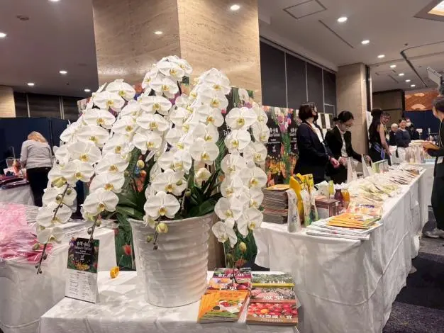 圖片來源:臺南市政府