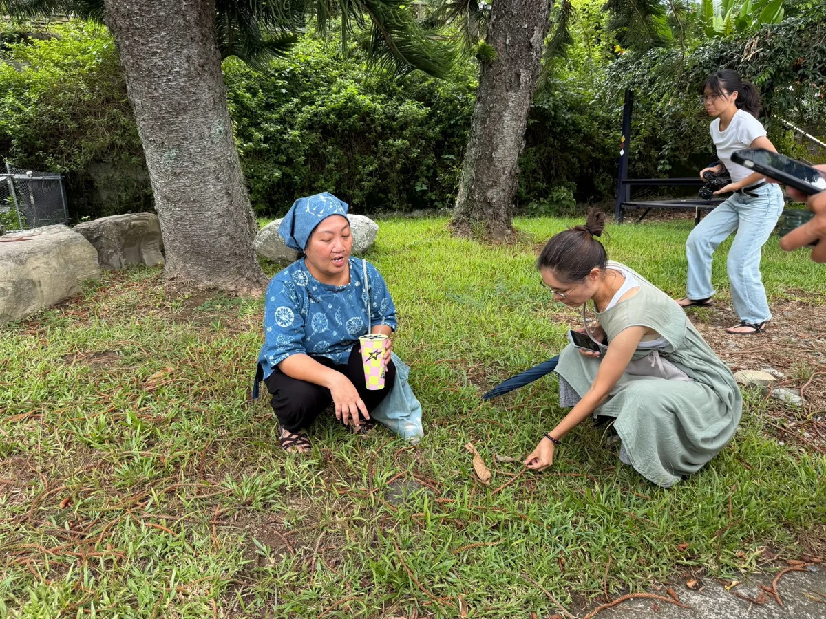 圖片來源:臺東縣政府