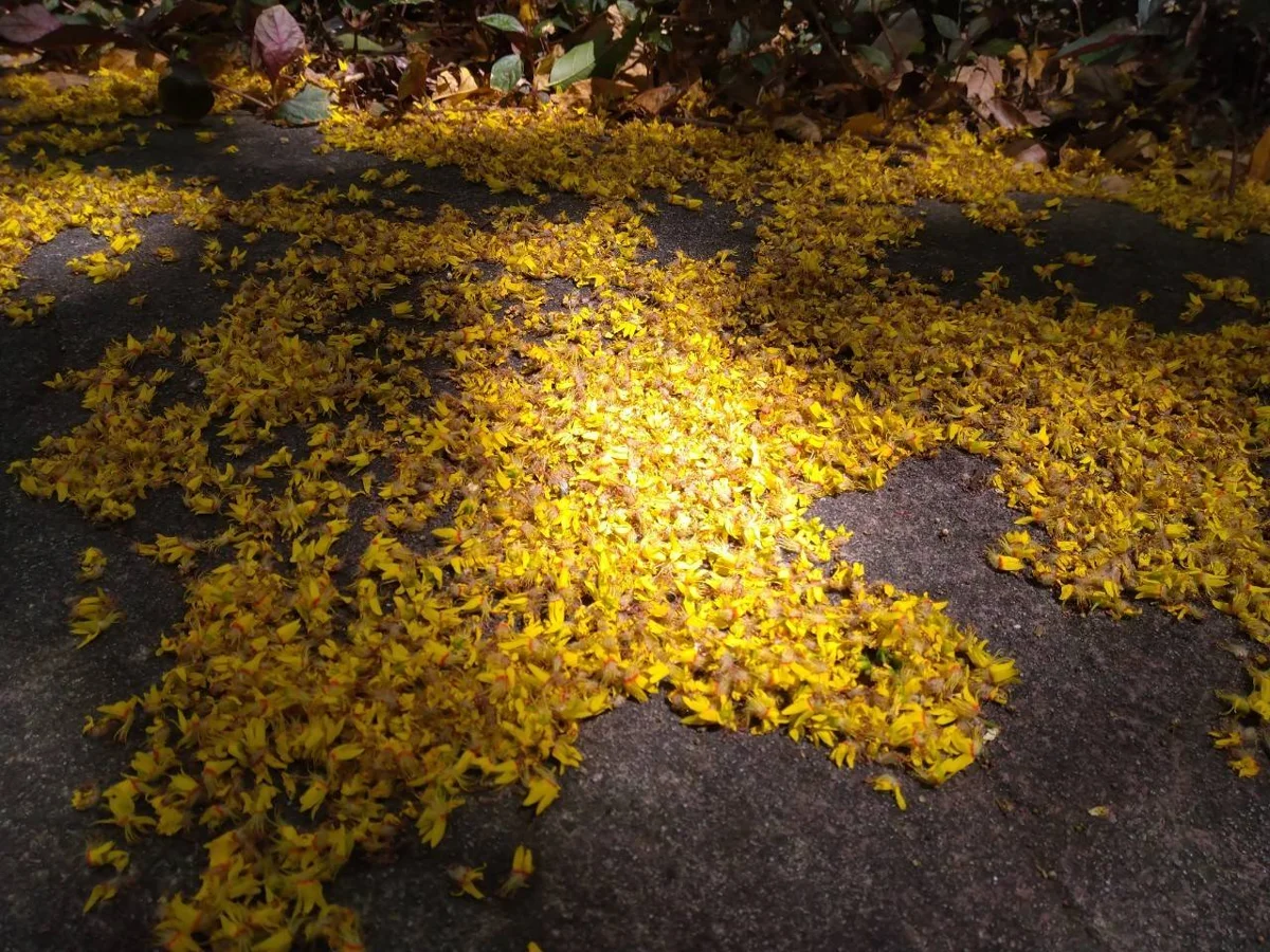 圖片來源:臺北市政府