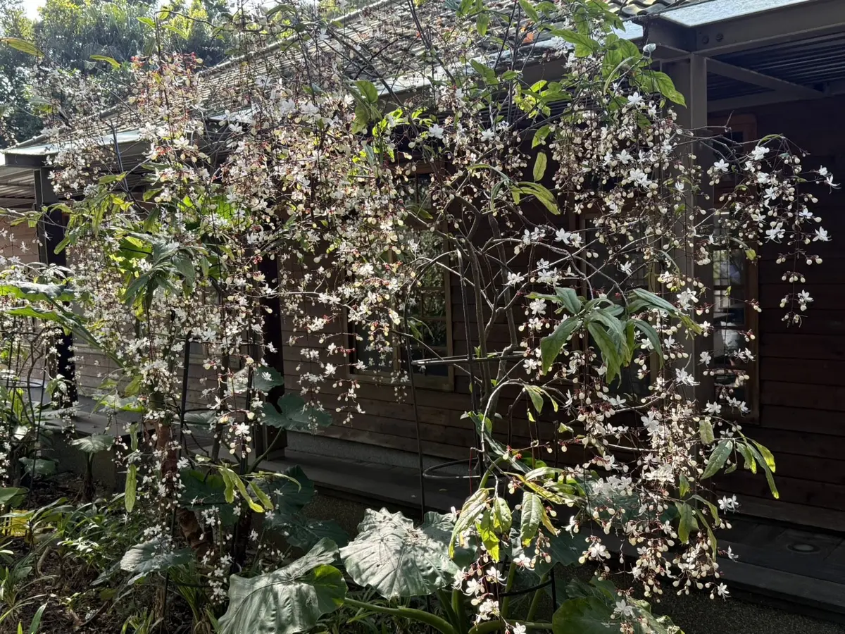 圖片來源:臺北市政府