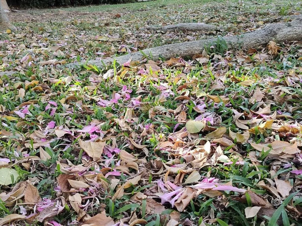 圖片來源:臺北市政府