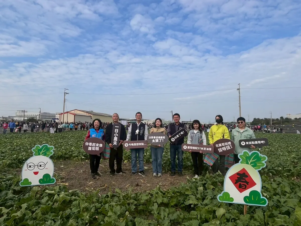 梧棲蘿蔔季開跑！千人下田體驗「拔蘿蔔」樂趣，親子同樂迎新年