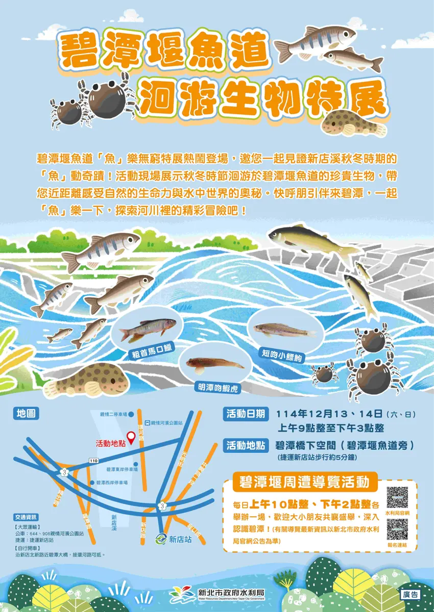 新店碧潭生態盛事!「洄游生物特展」週末限定登場,4梯次免費導覽解密魚道奧秘