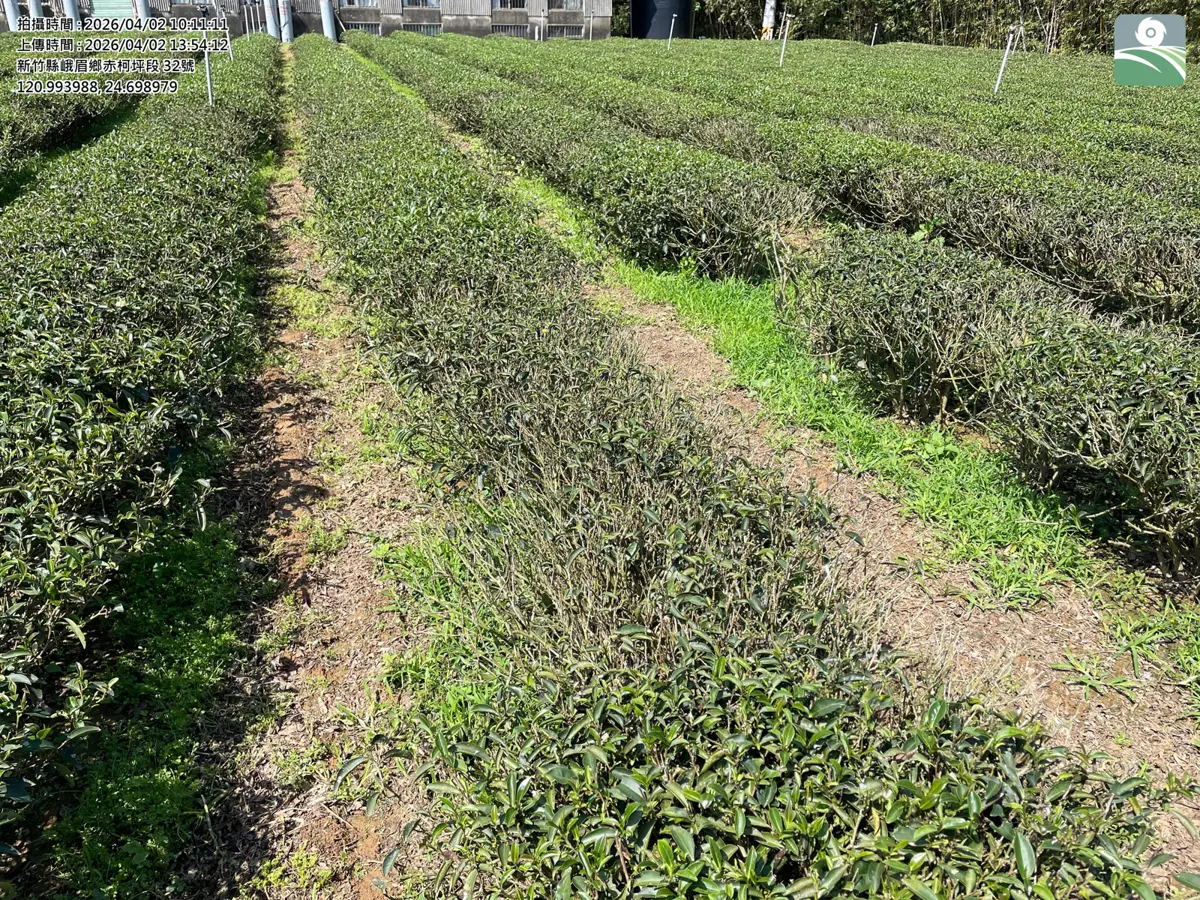 圖片來源:新竹縣政府