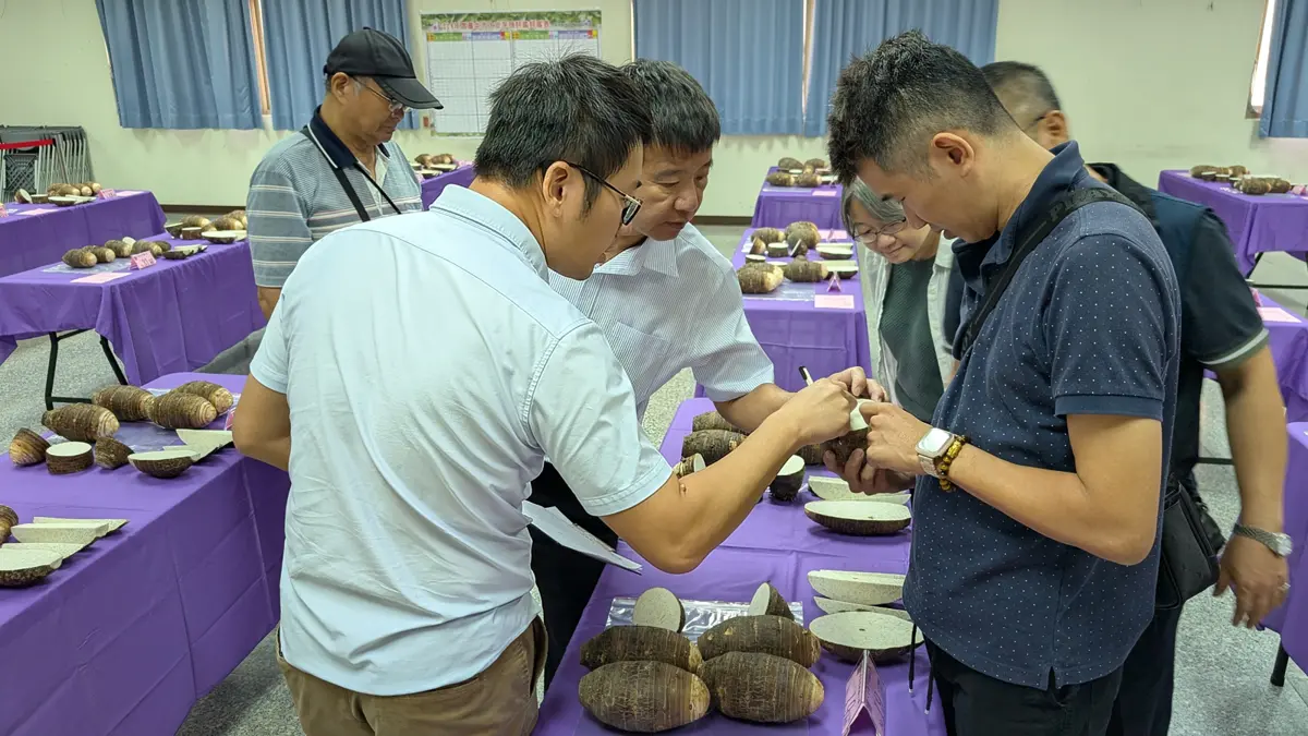 圖片來源:臺中市政府