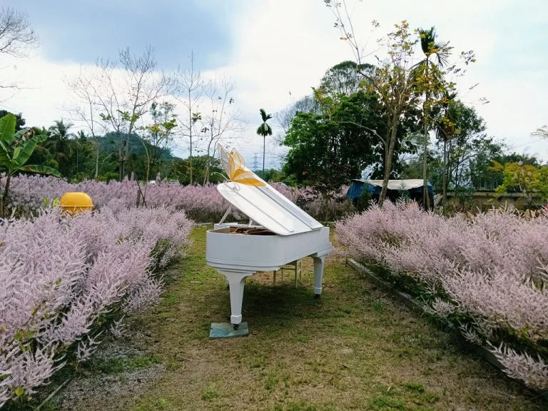 圖片來源:南投旅遊網-活動