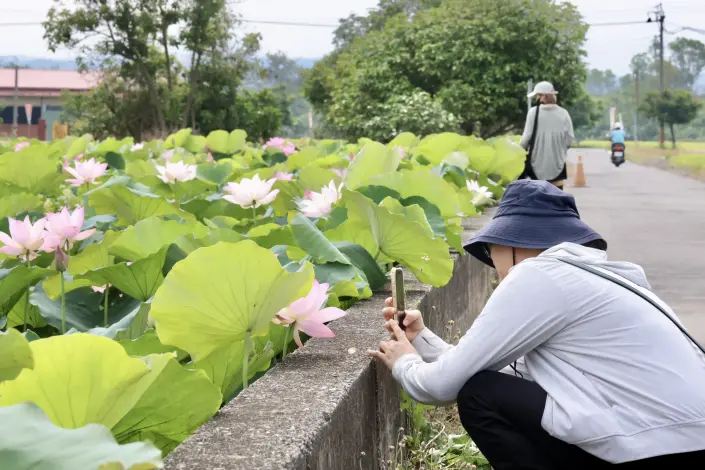 圖片來源:臺南市政府