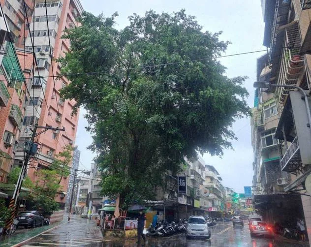 圖片來源:臺北市政府