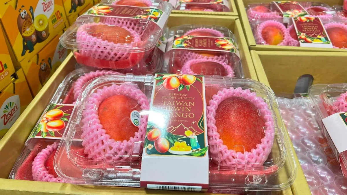圖片來源:臺南市政府