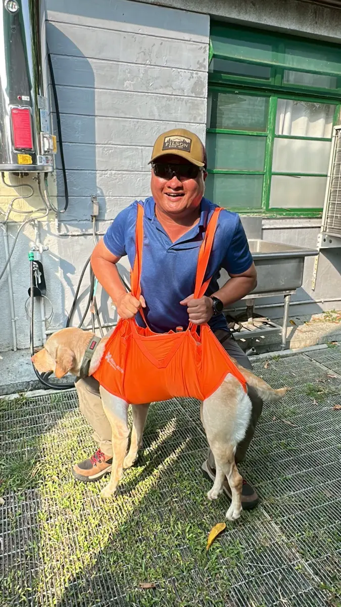 圖片來源:臺中市政府