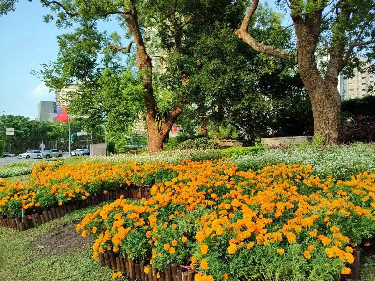 圖片來源:臺北市政府