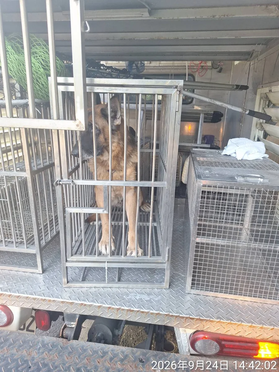 圖片來源：臺北市政府