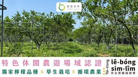 圖片來源:臺中市政府